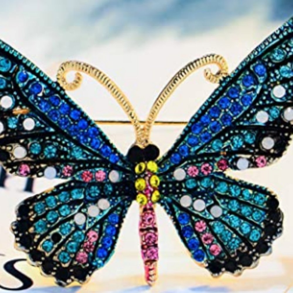 ✨ Butterfly pin